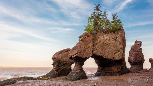 LA CÔTE DU NOUVEAU-BRUNSWICK EN 10 JOURS